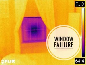 window